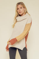 Turtle Neck Color Block Dolman Sweater